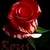 :iconrous72: