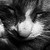 :iconrowan-heartache: