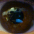 :iconrowanbovis: