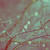 :iconrowbeesawa: