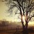 rowena89 :iconrowena89: