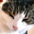 :iconroxanna14madalane: