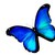 :iconroxanna456000: