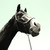 :iconroxannewind:
