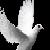 :iconroxas-smash: