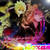 :iconroxasxemnas:
