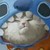 :iconroxesbyone: