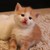 :iconroxsupoxsu: