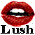 :iconroxy210: