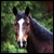 :iconroyal-jam: