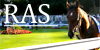 :iconroyalashcroftstables: