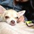 :iconroyalblunova:
