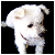 :iconroyaltouch: