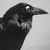 :iconroyartandstuff: