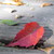 :iconrozelvphotos:
