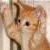 :iconrozerdknop: