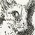 :iconrp-neko-akki: