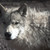 :iconrpour38: