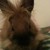 :iconrprefontaine: