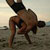 :iconrr-marc: