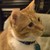 :iconrrutherford: