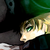:iconrs-xavior: