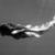 :iconrsepton7230: