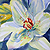 :iconrsharts: