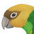 :iconrsnature: