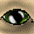 :iconRsNemesis: