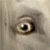 :iconrt-roz: