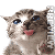 :iconrtlsz: