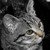:iconrtpln: