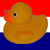 :iconrubberduckey: