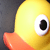 :iconrubberduckytm: