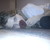 :iconrubbermanikin:
