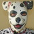 :iconrubberwolf55: