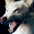 :iconrubiano: