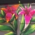 :iconrubroken2: