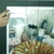 :iconrubthemagichorn:
