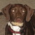 :iconrubycoconut:
