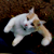 :iconrubydi: