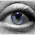 :iconrubygg: