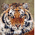 :iconrubygirl25: