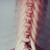 :iconrubyjamess:
