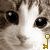 :iconrubyredblonde: