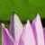 :iconrubysaphire: