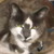 :iconrubywolf700: