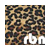 :iconrudablondyna: