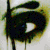 :iconrudawu: